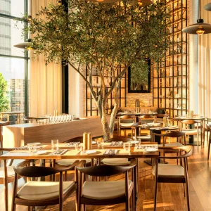 5-star Restaurant Chairs
