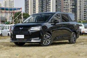 Wuling Starlight 730
