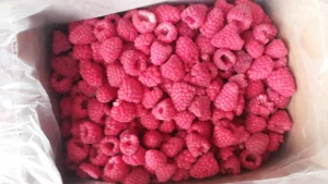Organic Raspberry