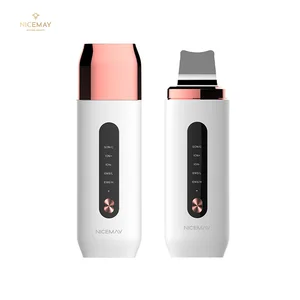 Ultrasonic Vibration Ion Therapy Face Skin Scrubber