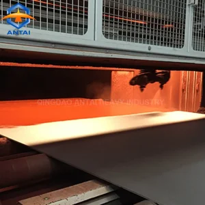 H Beam Shot Blasting Machine and Automatic Coating Line