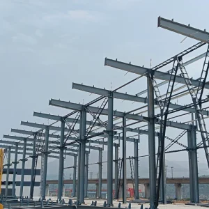 Cold Chain Storage Steel Structure Storage Building for Food