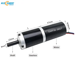 High Torque 12V/24V BLDC Motor