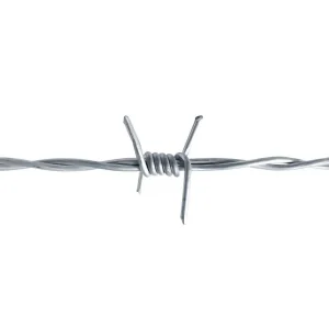 Galvanized/Stainless Steel/PVC Coated Barbed Wire for Mesh Security Fencing