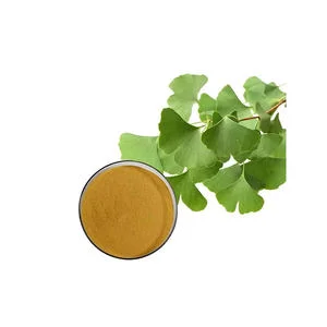 High Quality Ginkgo Biloba Extract Powder 100% Pure Herbal Ingredient Bulk Wholesale