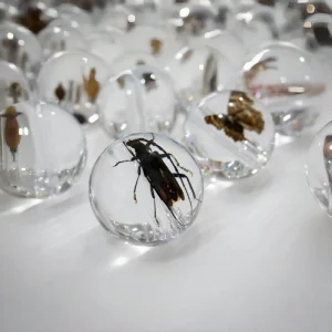 Factory Design Permeable Crystal Bead Crystal Ball Crystal Built-in Flowers and Animals Custom High-Grade Crystal Model Gift Crafts