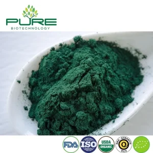 Premium Organic Spirulina Protein Powder for Vegan Health