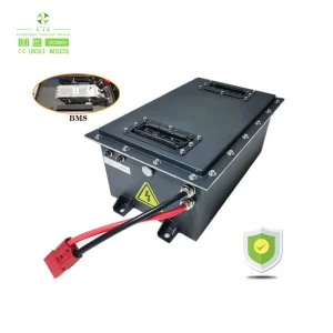 48V 51.2V Golf Cart Battery