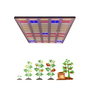 Hydroponics LED