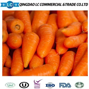 Proveedor China IQF