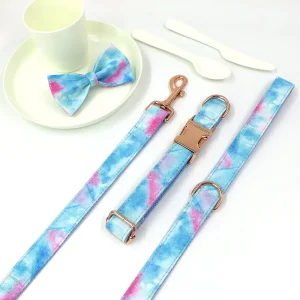 Custom Personalized Dog Collars