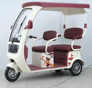 3 Wheels Electric Passenger Tricycles Tuk-tuk