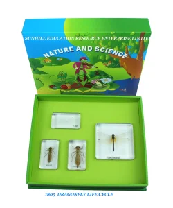 Educational Science Learning Toy for Kids