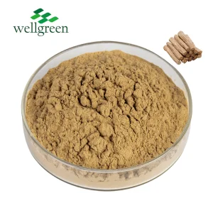 Extrato de Codonopsis C-GMP Potente 10% Saponina Extrato de Raiz de Codonopsis Pilosula