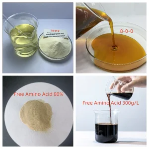 85% Free Amino Acid Powder Hydrolyzed Protein