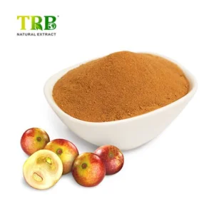 Wholesale Camu Camu Powder Supplier