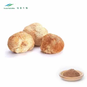 Free Samples 50% Polysaccharides Powder From Mushroom Hericium Erinaceus Extract