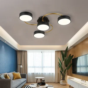 Customized Modern Indoor Decorative Lighting Lving Room Surface Mounted Led Ceiling Lamp