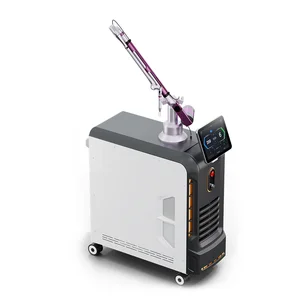 2025 CE Approval Professional Picosecond Laser