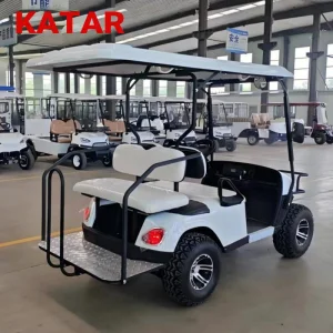Resort Electric Golf Carts