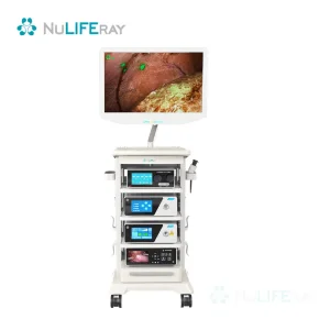 Full-Link 4K Imaging Fluorescence Endoscope Camera System for Clinical Needs