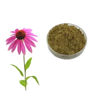Wholesale Echinacea Purpurea Extract