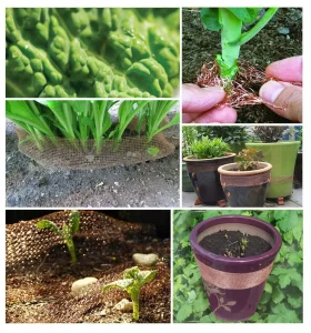 Knitted Copper Wire Mesh for Mouse Rodent Pest Control Fence