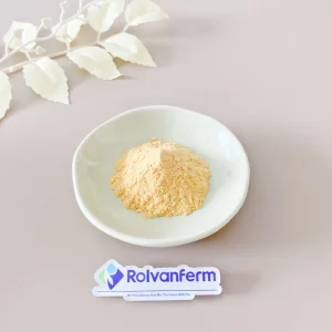 Encapsulated Liposome Curcumin for Stable Delivery in Functional Food and Supplement Products