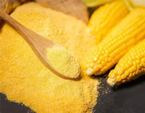 Pet Feed High Protein Premium Corn Gluten Meal