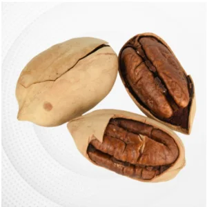 Boa Qualidade Deliciosos Novos Grãos de Noz Pecan com Casca