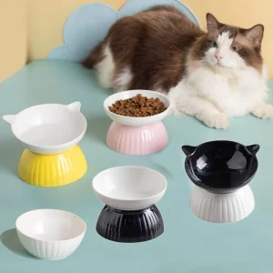 Slow Feeder Elevated Food Bowl Tilted Design
