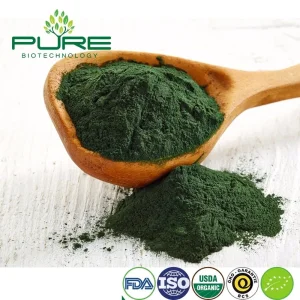Sustainable Blue Green Algae Protein