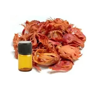 Pure Natural Mace Oleoresin for Food, Beverage &amp; Cosmetic Applications | 100% Pure Spices Oleoresin | OEM Bulk Supply Available
