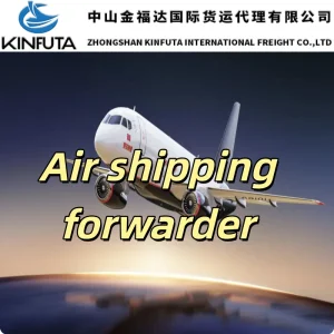 DDU/DDP Logistics Service Transportation Cargo Sea Freight Consolidation to Varese/Venice/Venezia/Vercelli/Verona/Vicenza/Viterbo Italy