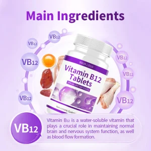 Píldoras de soporte cerebral y cardiovascular Folato Vitamina B12 Tabletas de energía para hombres