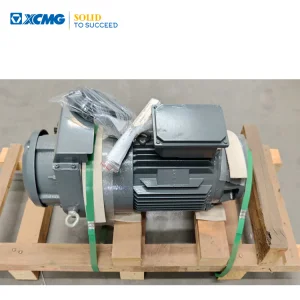 XCMG Official Mini Crane Electric Motor Ytrvf 132s4-4f2/D/B3bm1 Tower Crane Electric Swing Motor for Construction Machinery Spare Parts