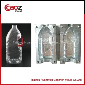 5L Plastic Pet Bottle Blow Mold with Good Quality (CZ-968)