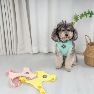 Arnés para perros Rena Pet popular, bonito, suave y colorido, ajustable en tamaños para gatos pequeños