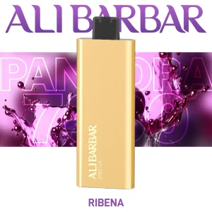 Type-C Fast Charging Alibarbar Pandora 7000 Rechargeable Device OEM Export Vaper