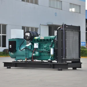 Factory Price 250kW Natural Gas Generator Set/Gas Generator 312.5kva LPG/Biogas Generator