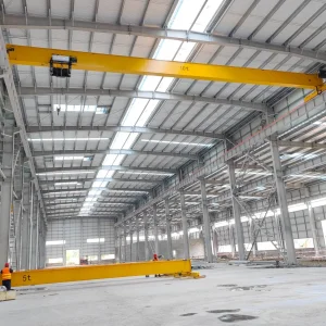 Workshop Ceiling Rail Traveling 3t 5t 10t Single Girder Overhead Crane with Hoist