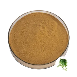Custom-Grade Premium Botanical Ivy Gourd &amp; Leaf Extract Powder 100% Organic Natural Herbal Wholesale OEM/ODM