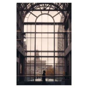 Ace Elegant Modern French Window with Competitive Price and Good Quality