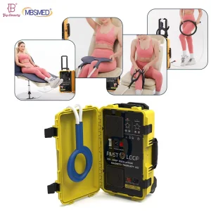 Pemf Therapy Device