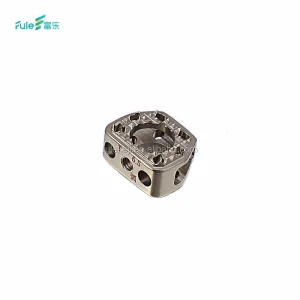 Fule Spine ALIF Cage