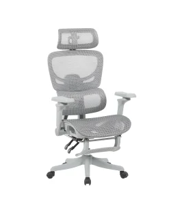 Ergonomic Mesh Office Chair with Footrest