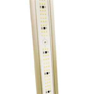 Waterproof Smart Control LED Grow Lights for Greenhouses &amp; Vertical Farms