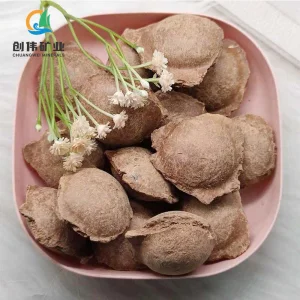 Bentonite Cat Litter