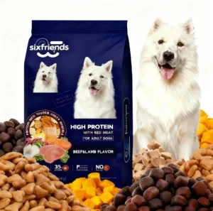 Natural Healthy Dog Food