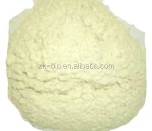 Organic Hydrolyzed Rice Protein Peptide